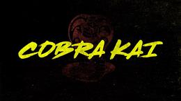 Immagine tratta da Cobra Kai